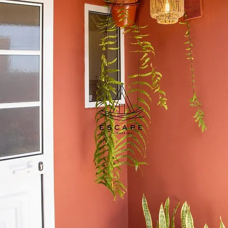 Izzys Place By Escape To Madeira بيت للعطل بونتا دو سول